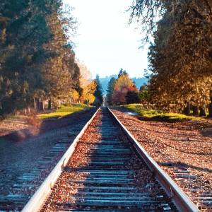 Tracks